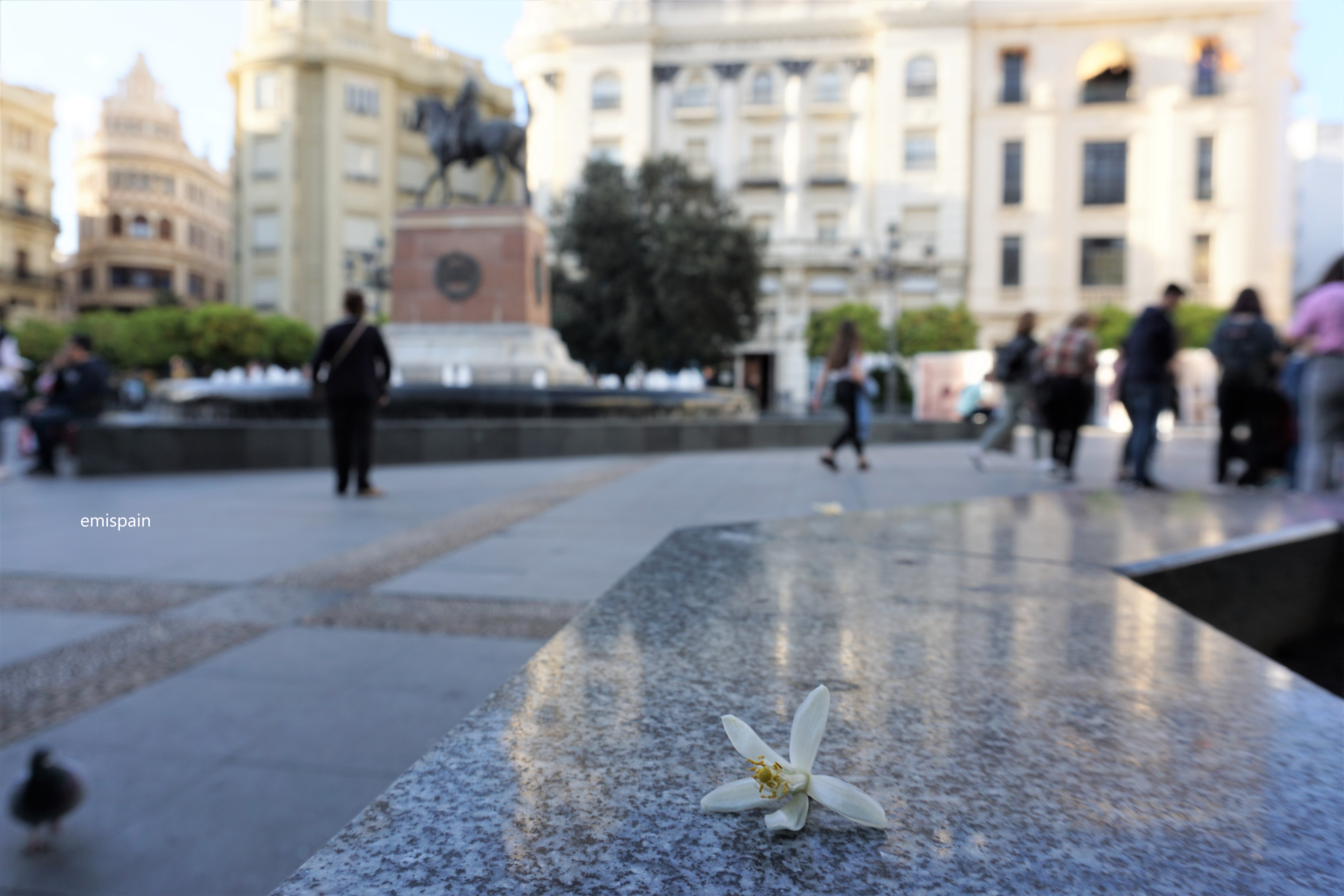 オレンジの香りに包まれるコルドバの街 Andalucia アンダルシア街歩き From スペイン