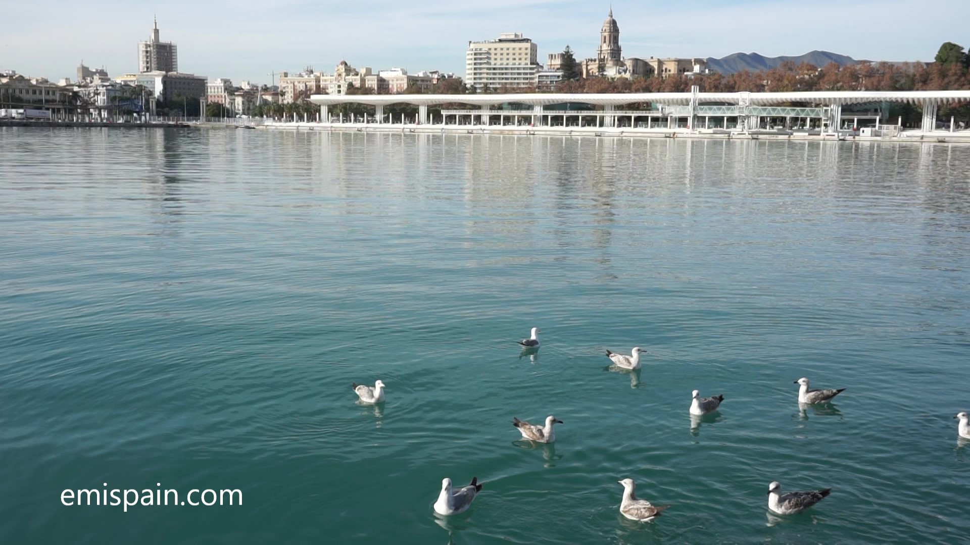 ゆったり観光におすすめ マラガの港を散策 動画あり Andalucia アンダルシア街歩き From スペイン