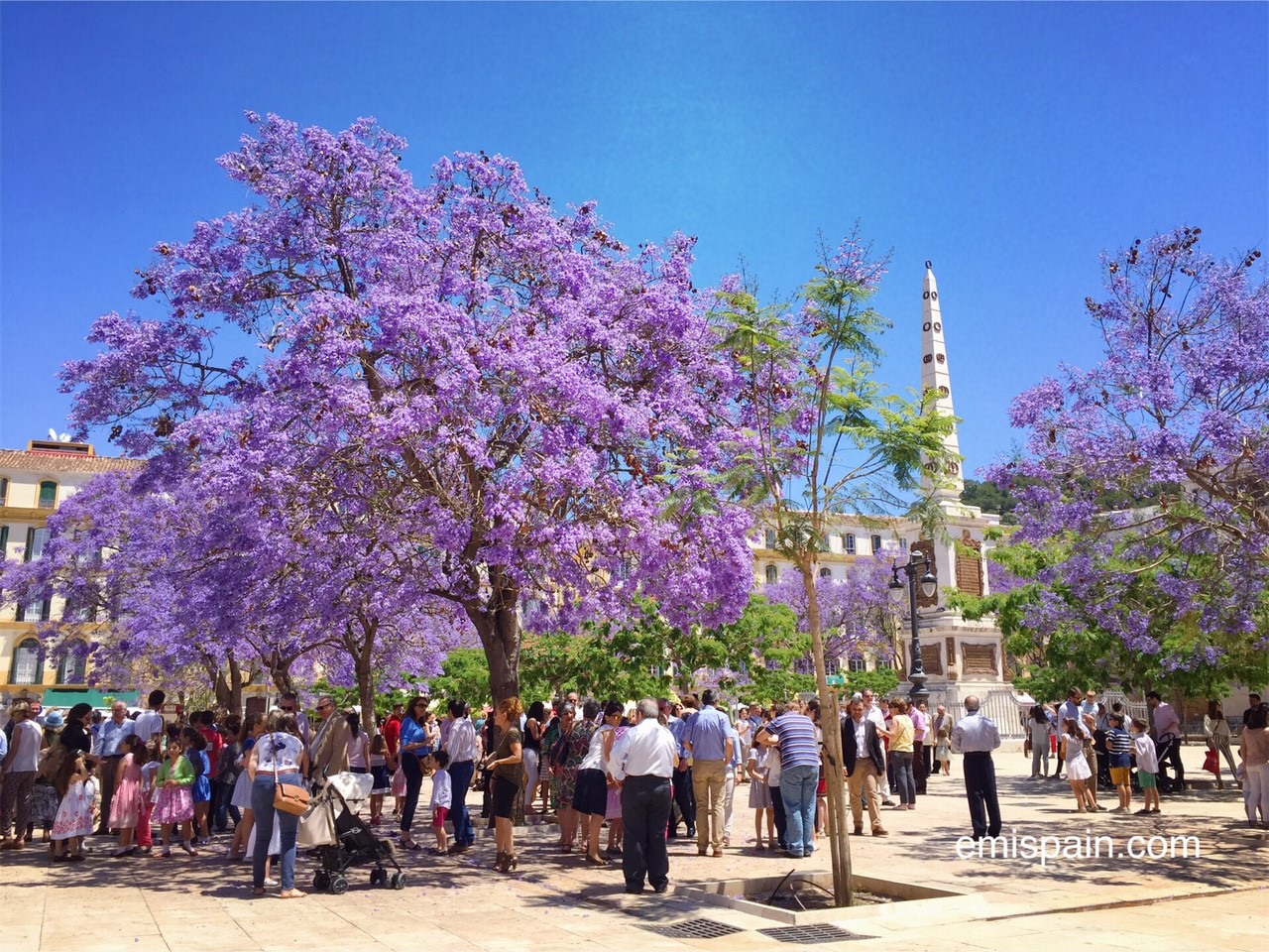 インスタ映え ハカランダ色 青紫に染まるマラガの街 Andalucia アンダルシア街歩き From スペイン