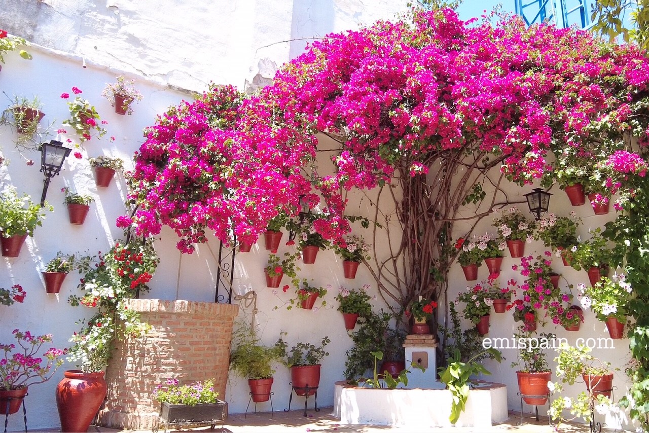 南スペイン コルドバとアンダルシアの5月の気候と服装 Andalucia アンダルシア街歩き From スペイン